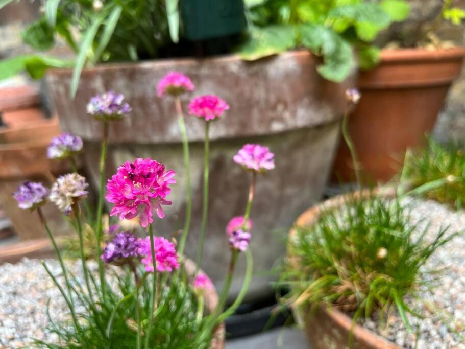 Kings Cross, Self-Contained House & Private Garden Βίλα Λονδίνο Εξωτερικό φωτογραφία