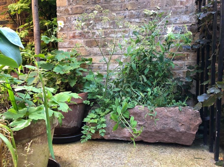 Kings Cross, Self-Contained House & Private Garden Βίλα Λονδίνο Εξωτερικό φωτογραφία
