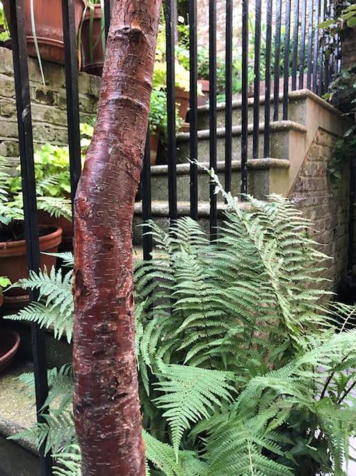 Kings Cross, Self-Contained House & Private Garden Βίλα Λονδίνο Εξωτερικό φωτογραφία
